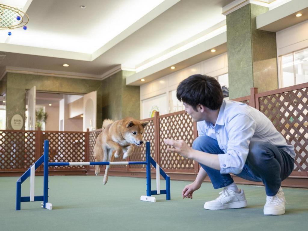Izumigo Lake Hamanako Dog Paradise Hotel Хамамацу Экстерьер фото